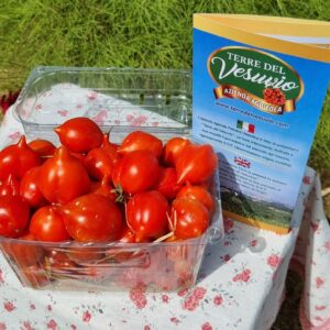 Confezione pomodorini del piennolo del Vesuvio 1kg