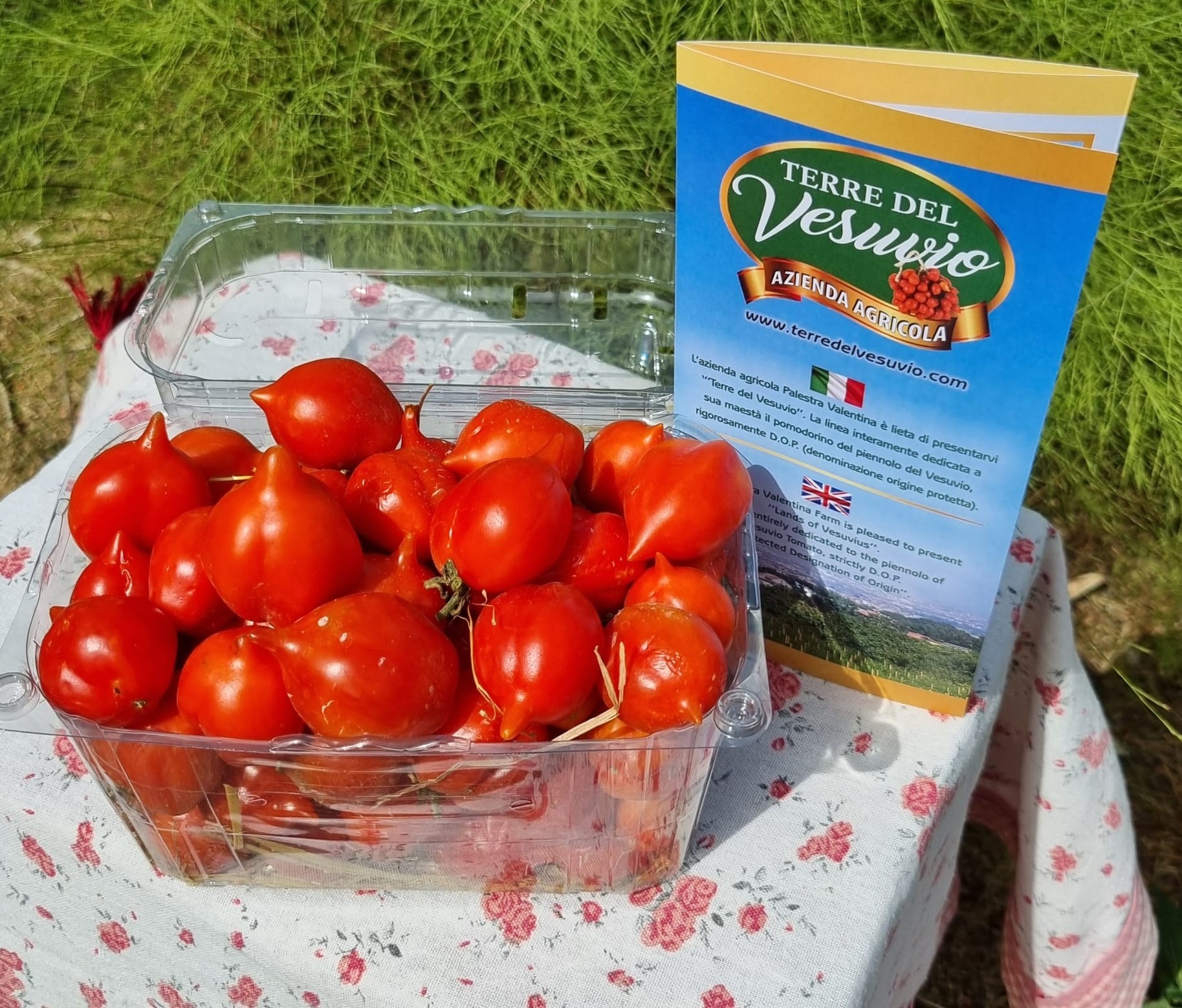 Confezione pomodorini del piennolo del Vesuvio 1kg